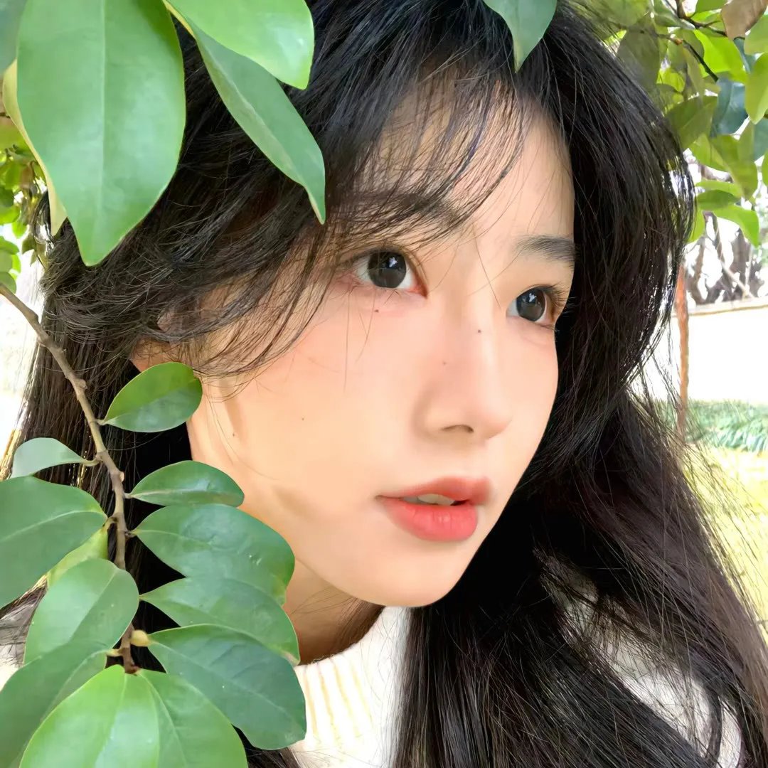 薇拉与伊娃