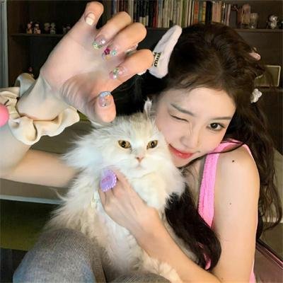 赢得美人